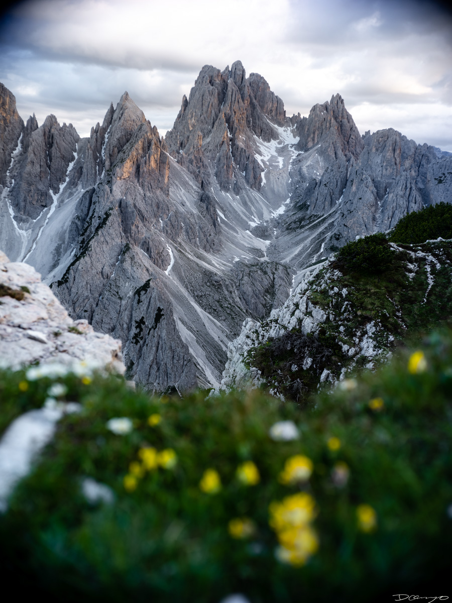 Photos from a trip through Italy in Summer of 2023. Locations include Rome, Florence, Tuscany, Castello di Bossi in Chianti, Siena, San Gimignano, Sirmione on Lake Garda, Bologna, Gudon, Italian Dolomites, Seceda, Cadini di Misurina, and Venice.